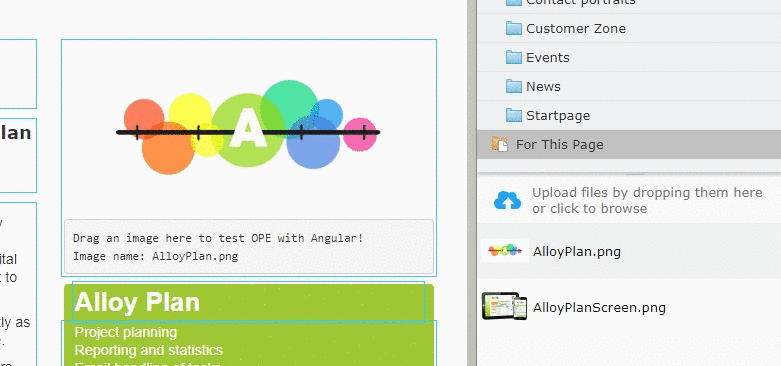 Image angular-sample.gif