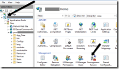 IISManagementService